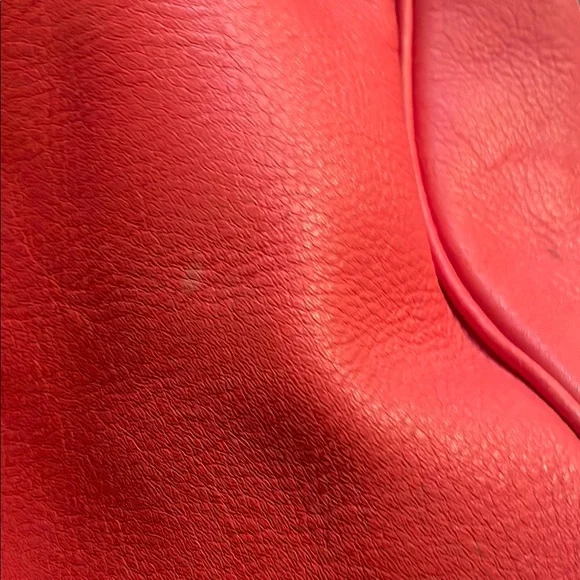 Coach REHAB Coral Handbag in need of love - Picture 5 of 16